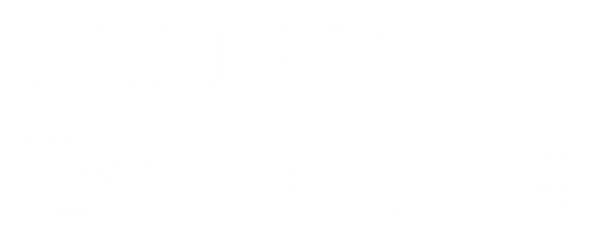 Ming Boxing